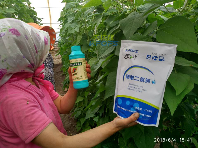 微生物菌肥的作用？