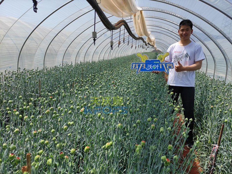 進口水溶肥怎么選？王總的答案！