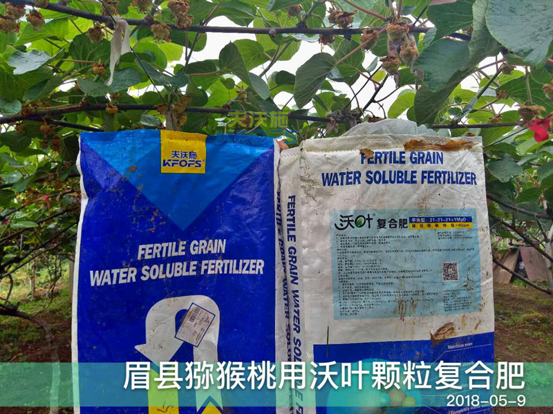 水溶肥在果樹(shù)上的使用