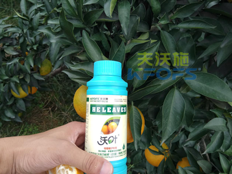 葉面肥能預(yù)防作物早衰嗎？1.png