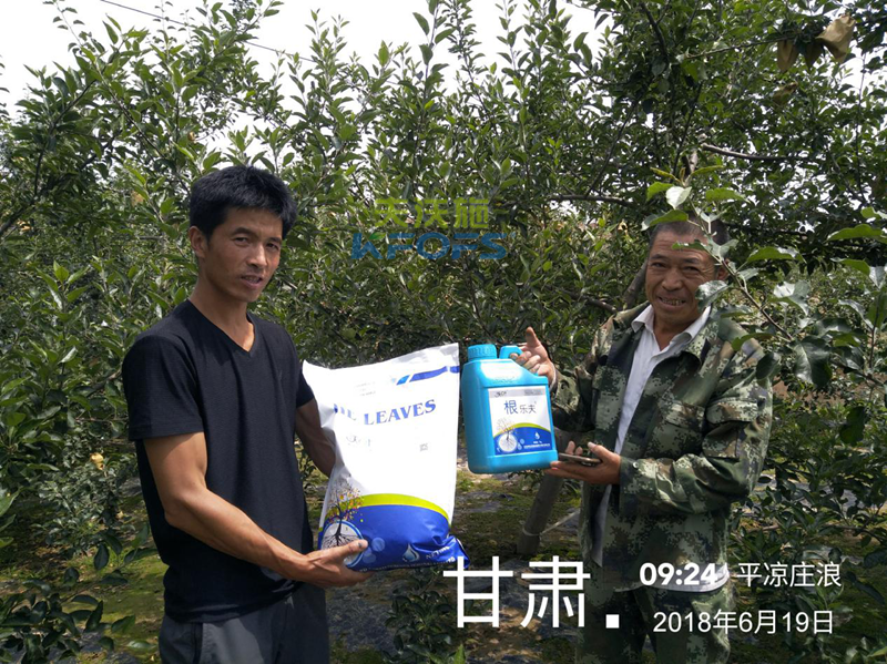 蘋果怎么施肥？
