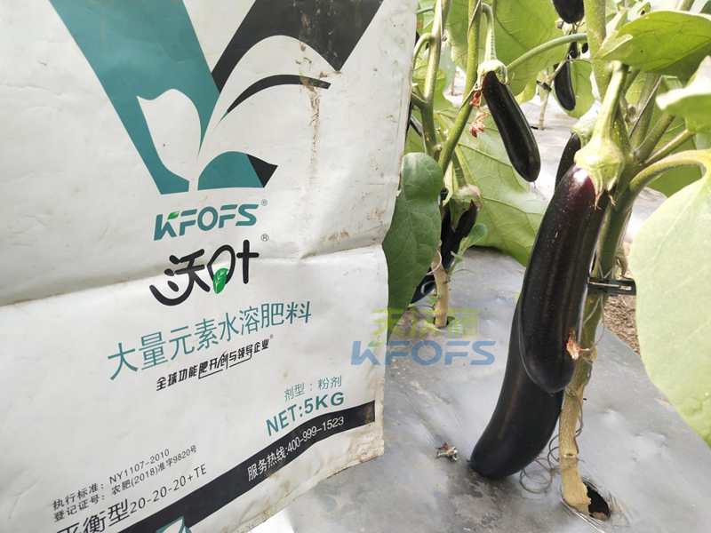 水溶肥是什么肥料？