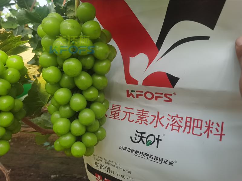 水溶肥和復(fù)合肥哪個(gè)效果更好？