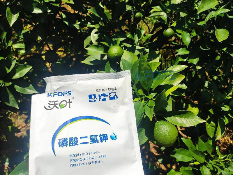 磷酸二氫鉀為什么受歡迎？
