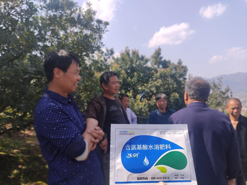 楊梅噴什么水溶肥好？