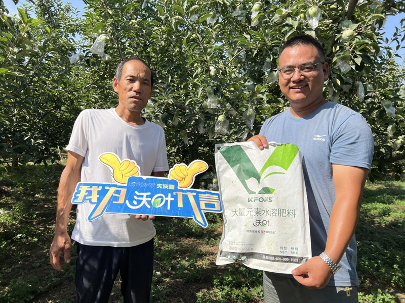 桃樹施肥時間和方法，值得收藏！