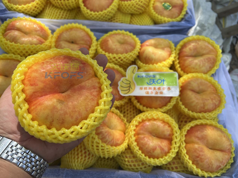 桃樹施什么肥料效果好？