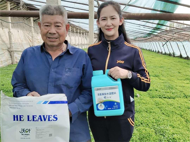 辣椒苗期施肥管理，掌握這項技術(shù)