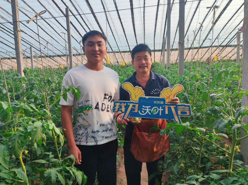 改良土壤用哪款水溶肥好？