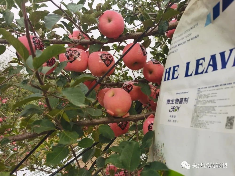 什么肥料能讓土壤變松？