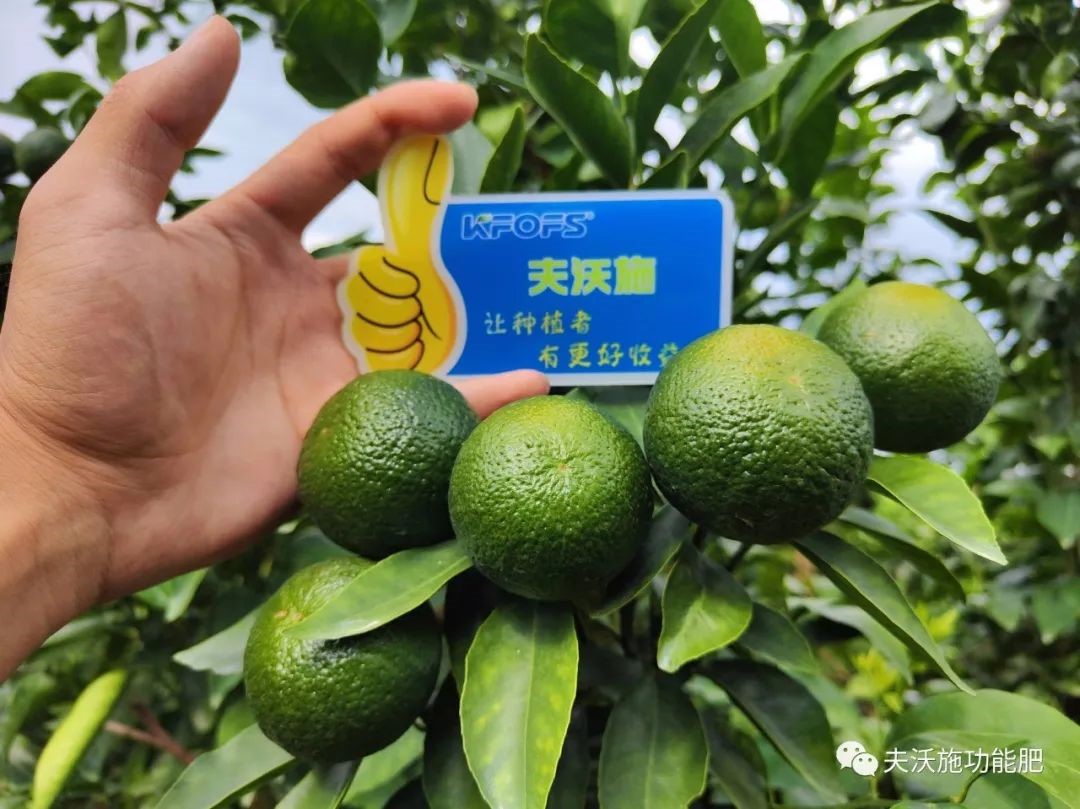 改善土壤板結(jié)用什么肥料？