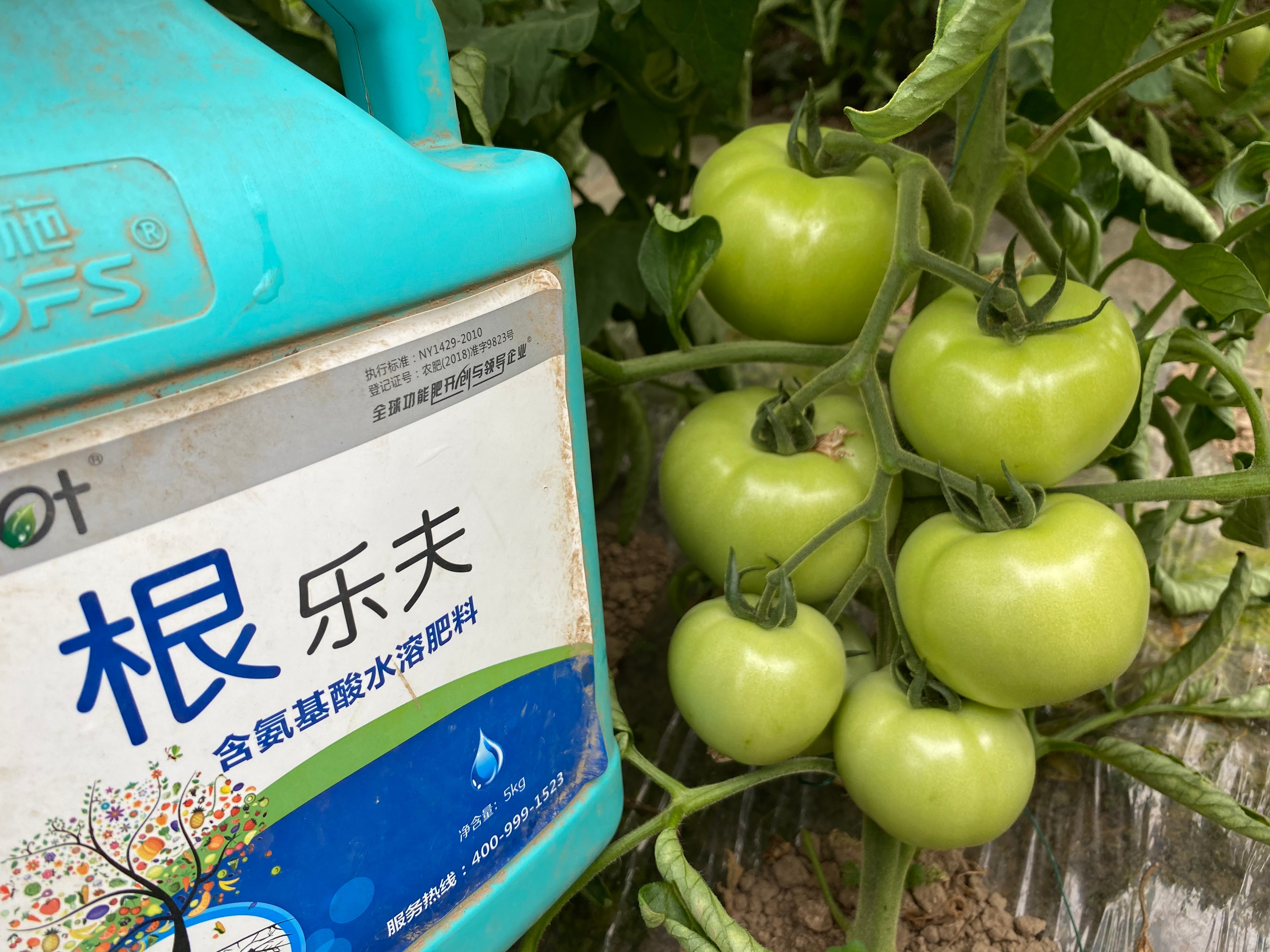 生根劑效果好不好？