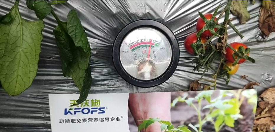 微生物菌劑，為什么被越來越多的人選擇？