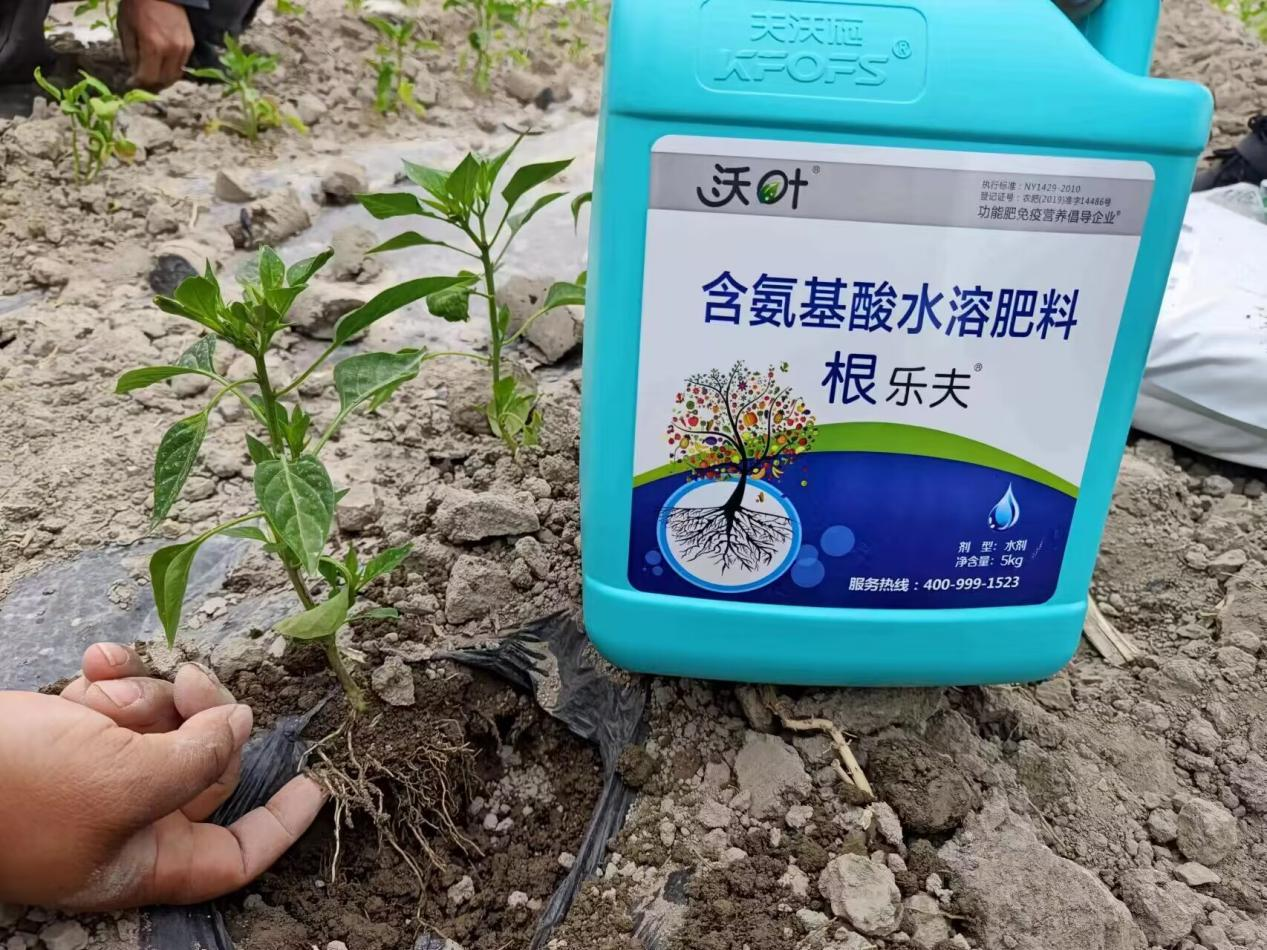 什么生根劑最好？看評價很高的這款