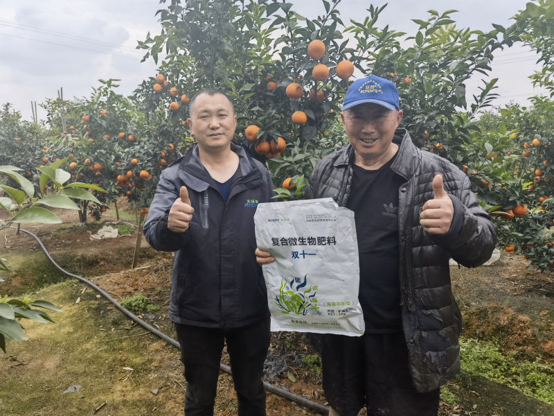 柑橘樹用什么肥料最佳？四川何大爺案例