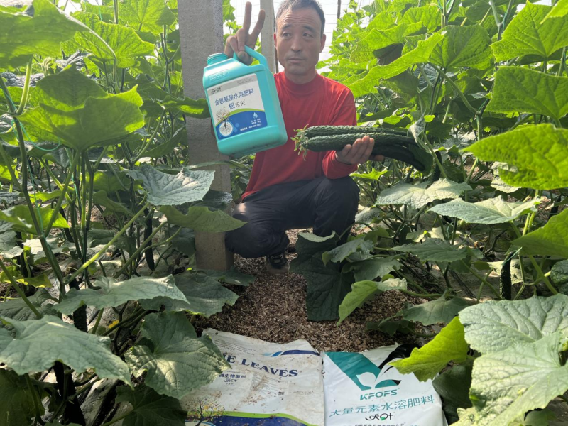 種植蔬菜用什么肥料最好？?jī)蓚€(gè)解決，兩個(gè)方案