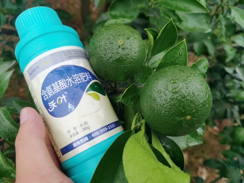 解密植物對氨基酸的吸收原理，夫沃施掌握氨基酸水溶肥核心科技