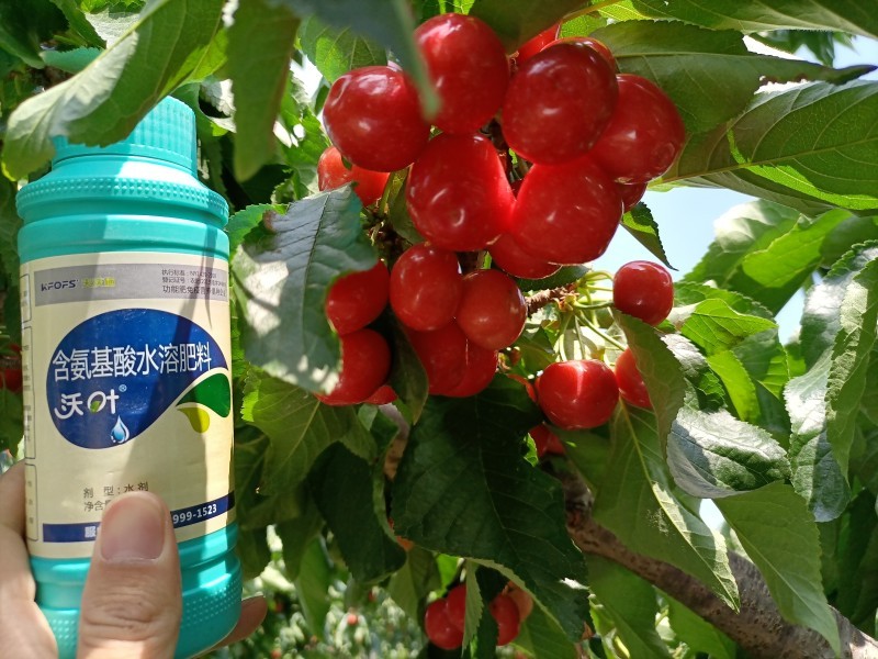 葉面肥什么時(shí)候用，你知道嗎？