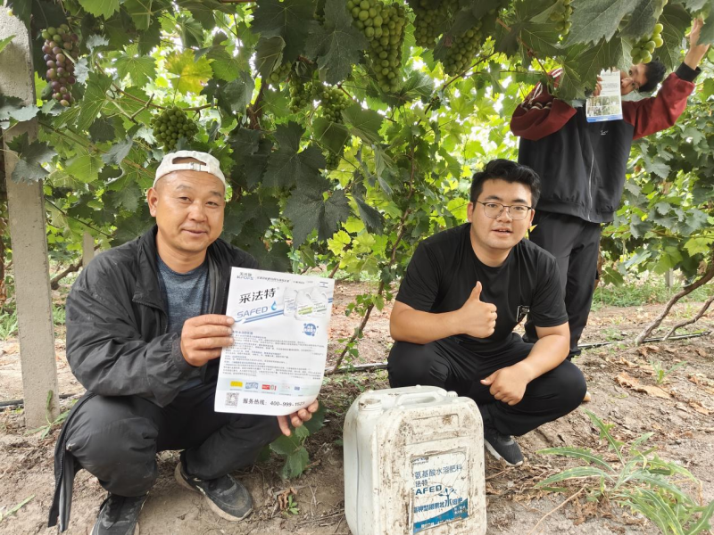 氨基酸肥料的作用你了解多少？