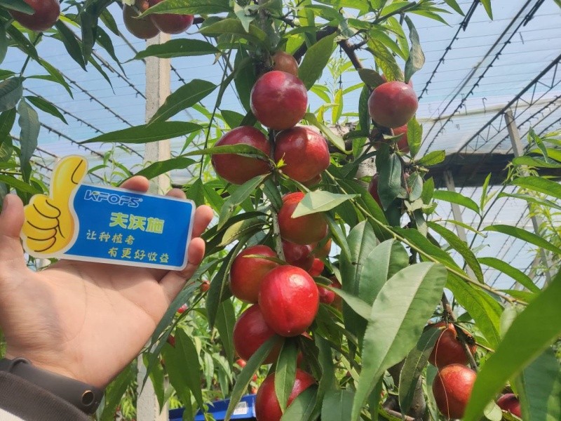 微生物菌劑的作用，你真的了解嗎？
