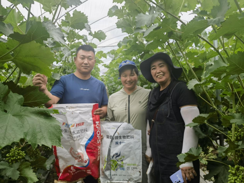 微生物肥料-雙十一復(fù)合微生物肥料用戶見(jiàn)證.png
