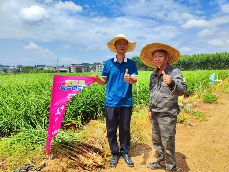 生根劑不能錯(cuò)過(guò)的3個(gè)時(shí)期，你知道嗎？