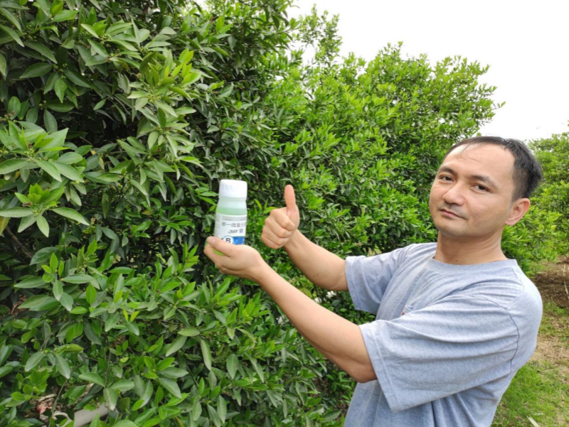 柑橘用什么肥料好？
