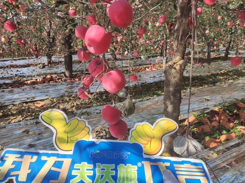 葉面肥你會用嗎？