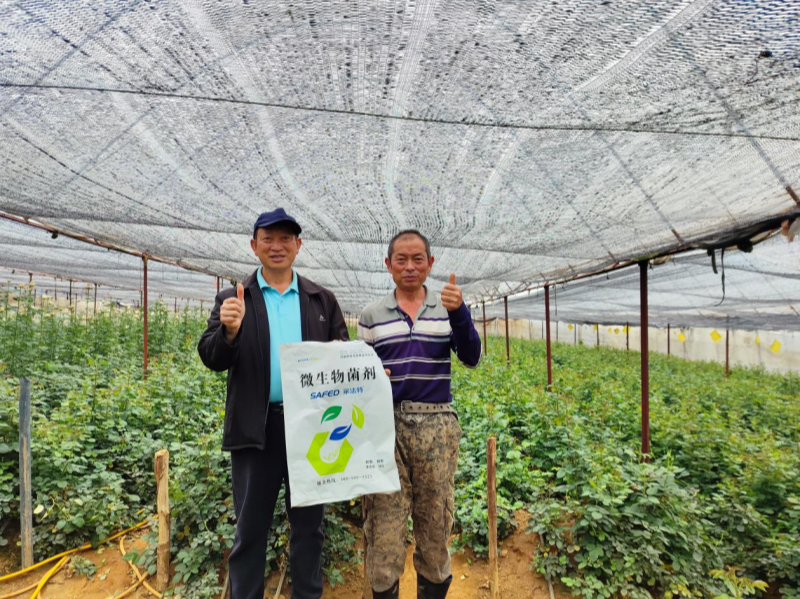玫瑰花施肥施什么肥料？