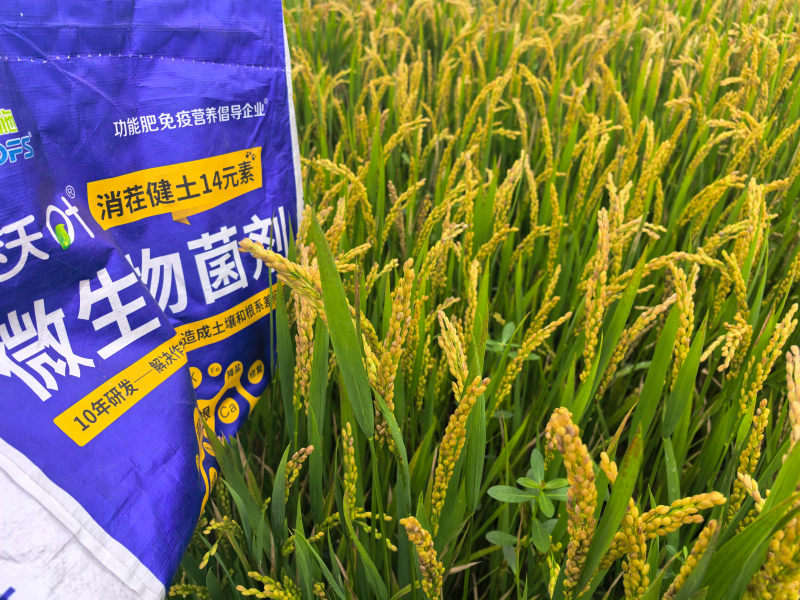 什么肥料能讓土壤變松？