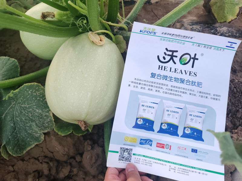 微生物菌劑哪個牌子好-籽葫蘆用沃葉微生物菌劑效果.png